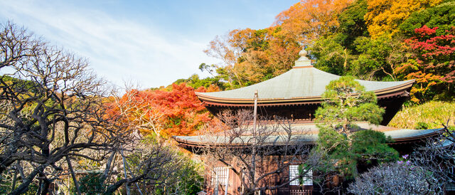 瑞泉寺の紅葉